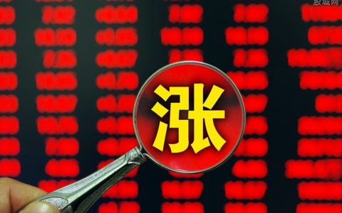 哪个证券